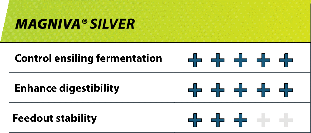 Magniva Silver