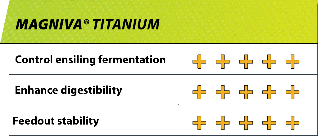 Magniva Titanium