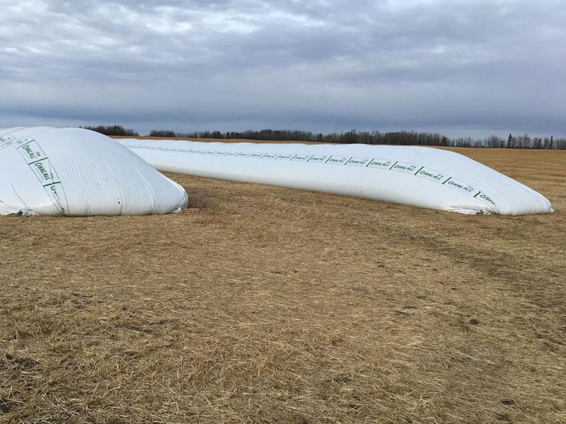 img_Grain-Bag
